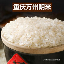 万州土特产阴米糯米重庆农村阴米子蒸熟阴干手工制作而成做米花糖