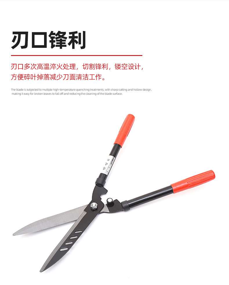 h2uTiviiztSHn2aJjQ1VWrJ+OeSZoZhppV9Y