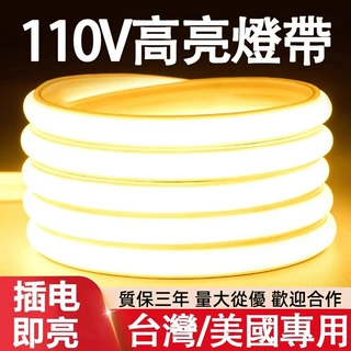 110VCOB灯带氛围灯户外防水LED灯条柔性硅胶线条灯中山灯具跨境