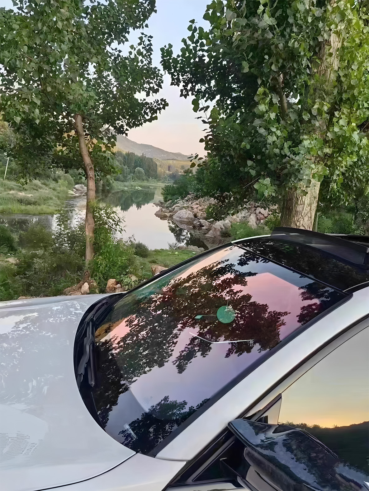 Rose Ghost Car Window Film Sunscreen Colorful Purple Heat Insulation Film Solar Film Front Windshield Optical Film