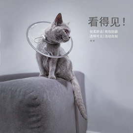 猫猫食具;伊丽莎白圈;猫厕所