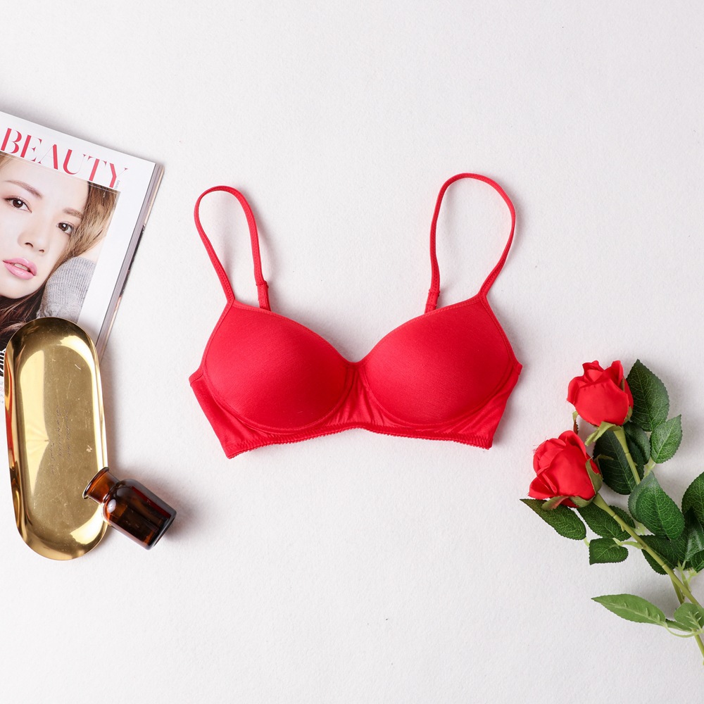 빨간색 브래지어