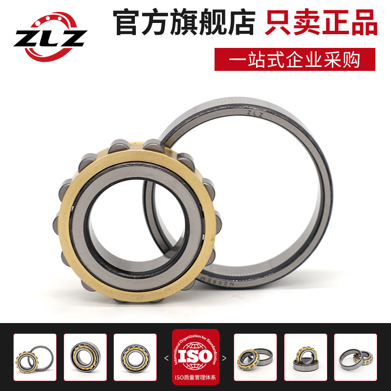 哈尔滨ZLZ圆柱滚子轴承N248 252 256 260