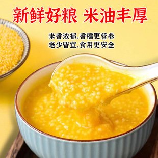 �����SС��2025����С��5��ɽ���خa����s�Z�ּZ�����Sɫ������