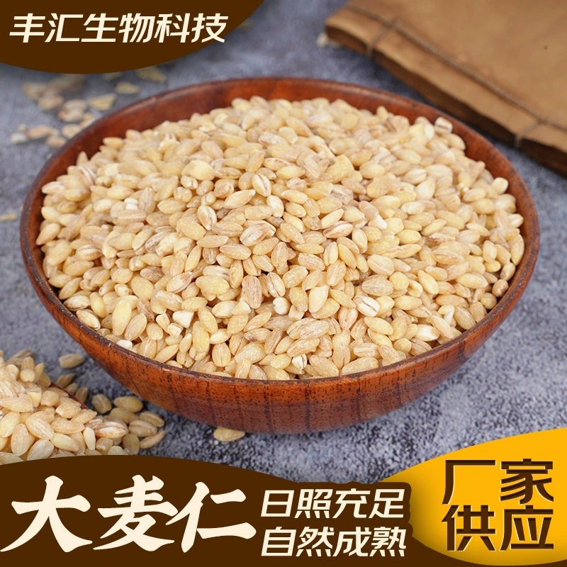 Зерновые зерна ячменя, крупное зерно, каша, приготовленная на пару, сырье для приготовления риса