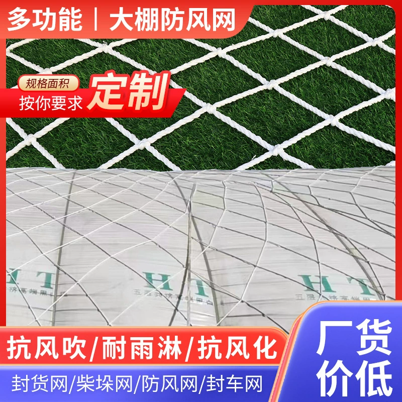 Парника ветрозащитная сетка защитная сетка большое отверстие пленка нажав веревку сетка нейлон ветрозащитная сетка безопасность размножения ветрозащитная сетка парниковая сетка