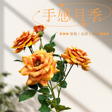 ���滨�ָ��¼�����֧������c�ٻ��ɻ��͏d�b[���ߙn�廨�[�O