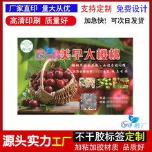 制定大櫻桃果蔬包裝不干膠標簽車厘子商標藍莓砂糖桔廣告泡沫箱貼
