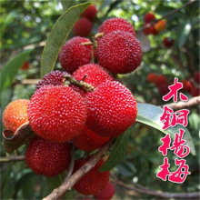 ľͩ�o�ї�÷��|����÷����޽��箔��Y���ش��ϱ������Թ�����