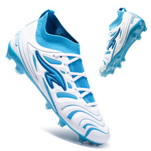 �ߎ�����Ь2024�ļ��¿��w��͸���L�Ь�羳���R�d��a�������Ь