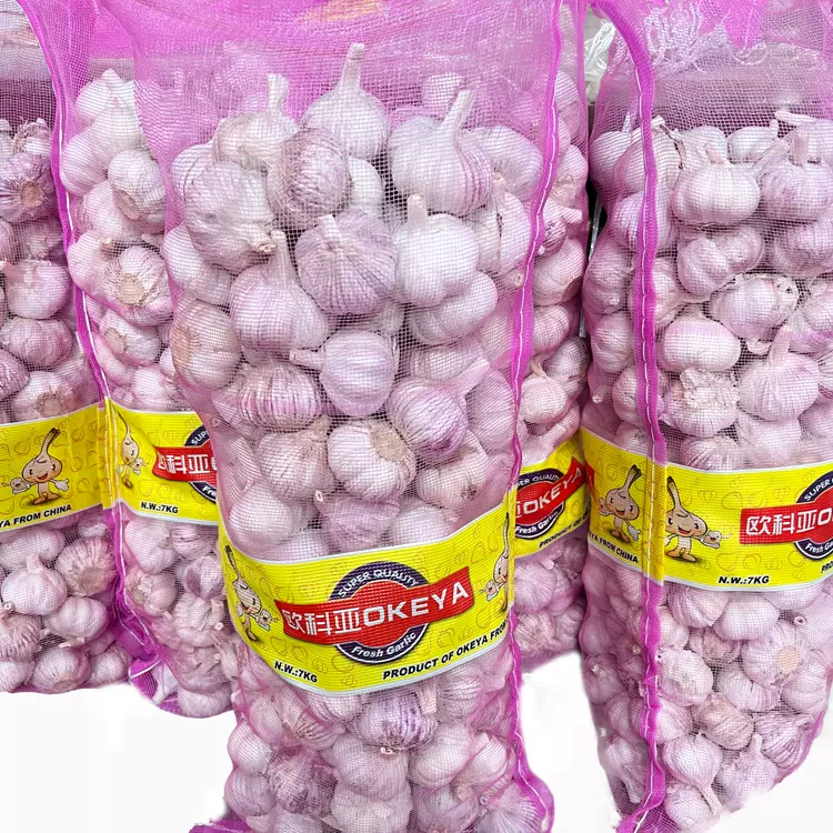 大蒜批发出口工厂供应按需加工20网袋山东产地一件代发产地直供