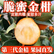 �V���ڰ����۽�۽�̱����֭Ƥ�����SC�Ћ������������rˮ��