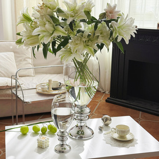 �Ӽҷ�ʽ�p�ݴ�̖��ƿ�߼���ˮ�B�r�л��ٺ��yɫ����͸���b[��