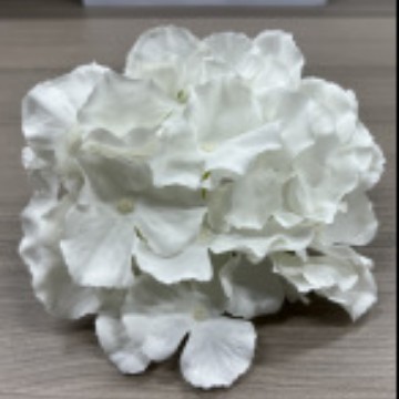 삼각 수국 - 화이트