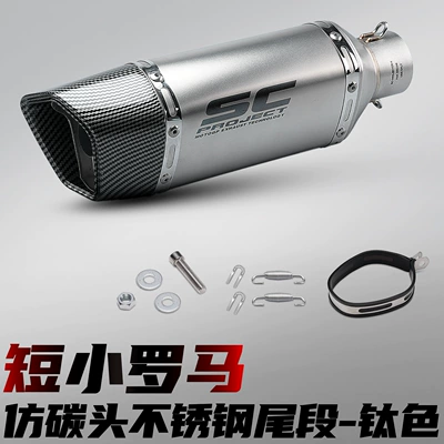 Motorcycle modified exhaust pipe, racing street bike Roman carbon fiber head, competitive stainless steel tail section, 51mm diameter, universal (Motorcycle exhaust pipe) - short-roman-imitation-carbon-head-titanium-color