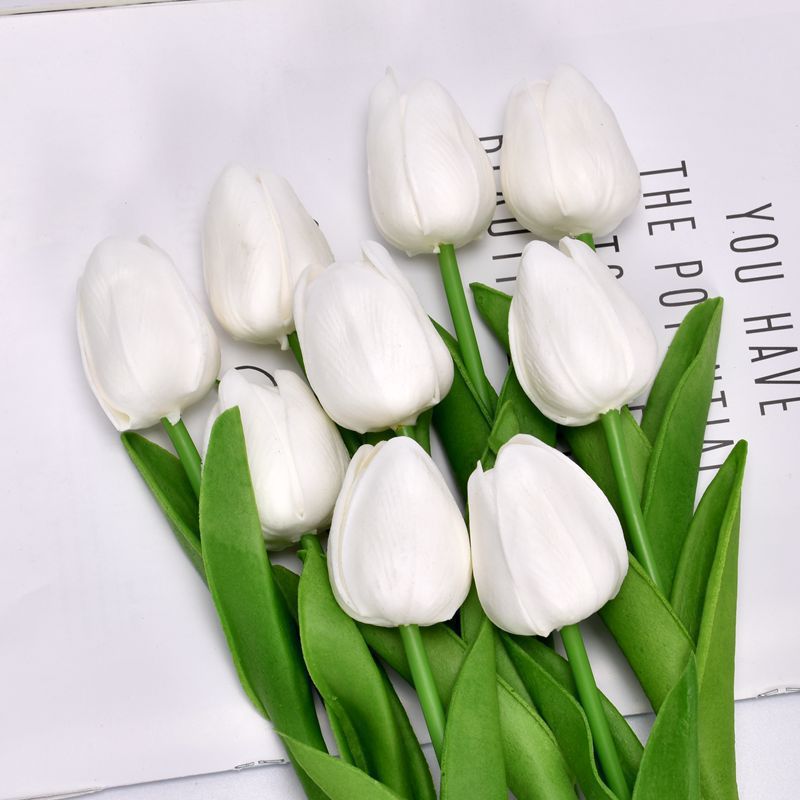 White tulip