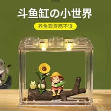 生态小鱼缸加厚用亚克力纽扣灯斗鱼小型海藻球盒式微景观高透批发