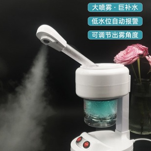 Free Shipping Household Steam Beauty Instrument Hot Spray Instrument Spray Cleaning Facial Steamer Facial Nano Hydrating Beauty Salon Facial Steamer