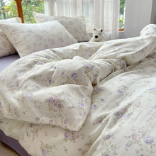 AĸȫpӼļﶬ100޴ϱ״С