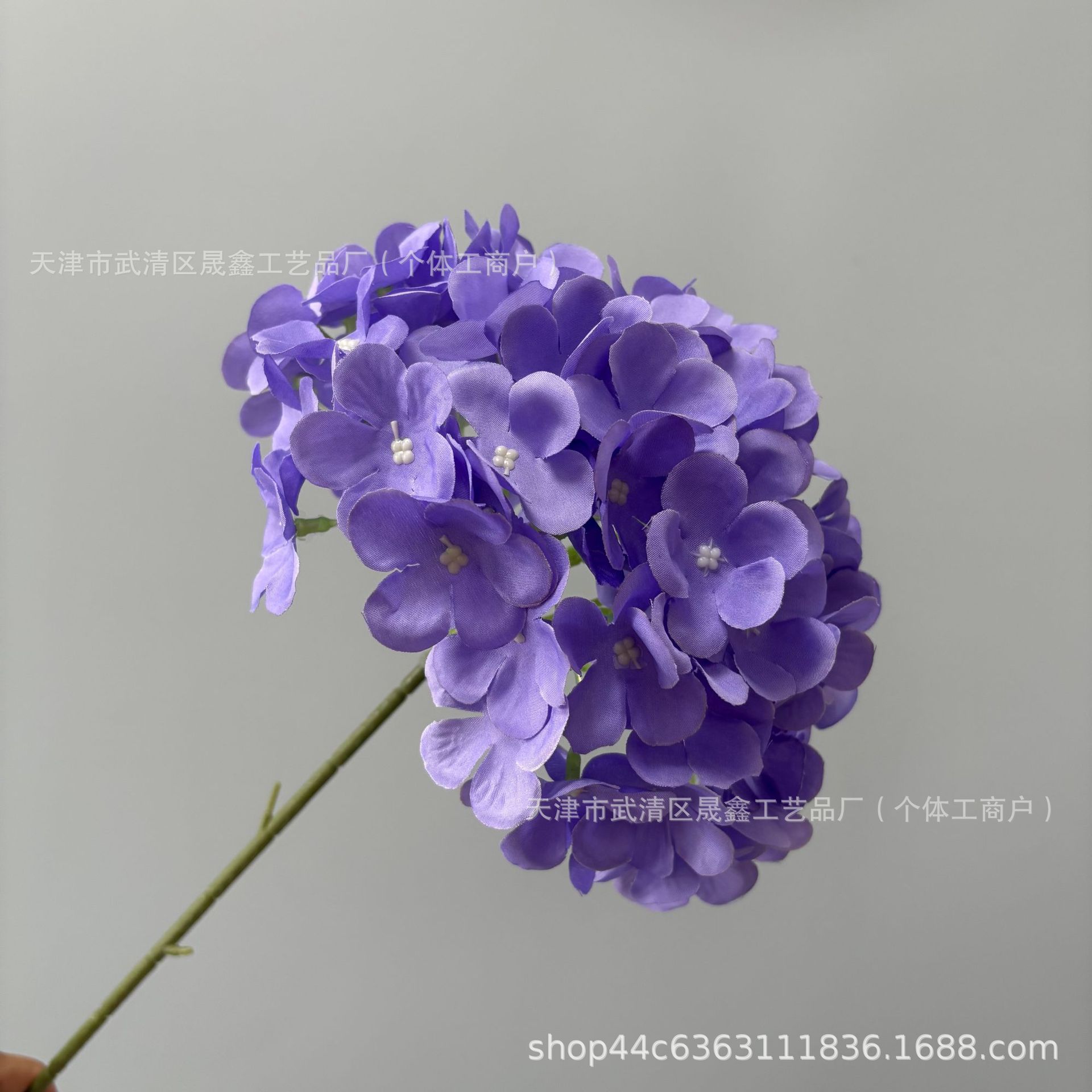 Light purple-k