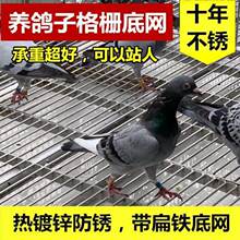 ������F�ؾW䓸�Ű��iţ��©�S�_̤�W����ƽ̨���©�S���