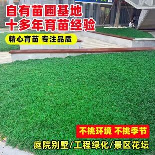 �ͺ��ձ������������������ͥԺ�e���G�����~�ͺ��ͺ��ļ�������