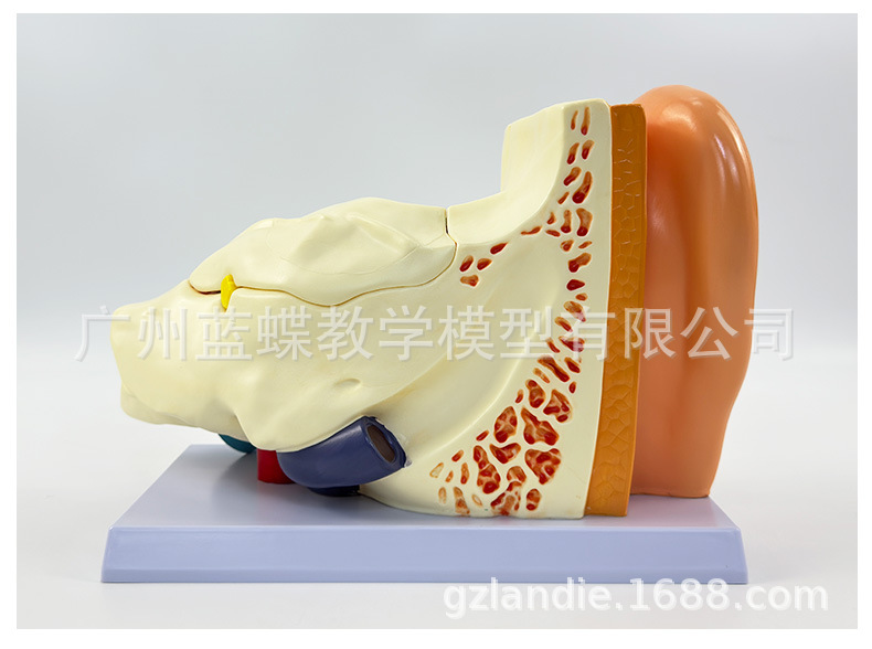 详情 (25)