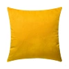 BZ0T22 (orange yellow)