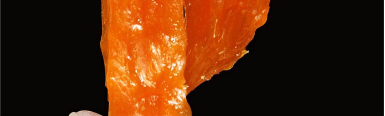 Dried Sweet Potato Strips 400g Farm Made No Added Sugar Soft Chewy Hong Shu Gan Snack quality and texture