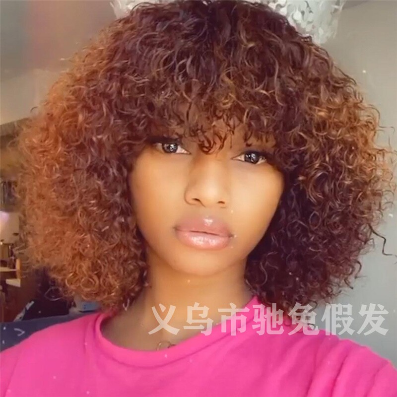 AliExpress foreign trade European and American women Black African small roll explosive head long hair wig headgear short curly hair wholesale AliExpress foreign trade European and American women Black African small roll explosive head long hair wig headgear short curly hair wholesale