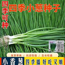 �ļ�С���[�N���ļ������＾�̨�����綬���߲˷N���r��ͥԺ�[��