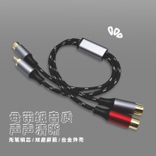 type-c�D�pɏ�����l��type-c���϶����l�� type-c�D2RCA��푾�
