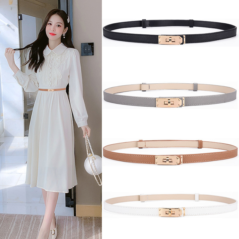Adjustable Thin Belt for Skirts, Coats, Sweaters, Suits, Versatile Waistband, Simple Gold Buckle, Women's Thin Girdle