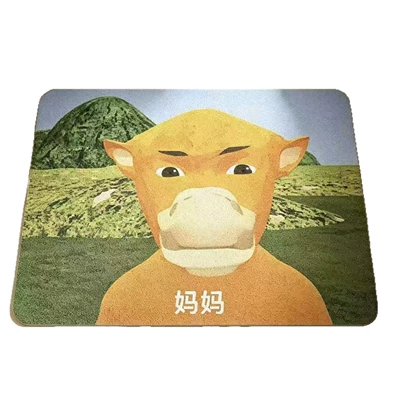 Avtomobil döşəmə paspasları — in the bathroom, absorbent, non-slip, dirt-resistant, can