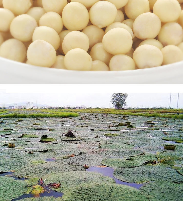 59dc7371-e94c-4e30-b6e9-fe14bed135b9.jpe