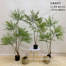 �����������b�С���������÷���ֲ���҃�����b٘����Կ����l