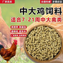�����������д������Ѽ�����µ����⼦ͨ�ÿ羳����ѷ����վ����
