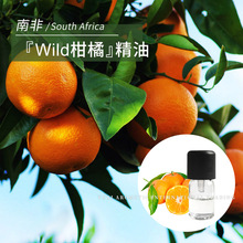 南非產地Wild柑橘果皮冷壓萃取新鮮清甜香氣1ml單方柑橘精油