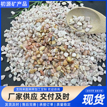 黄金石水洗石庭院铺路鹅卵石砾石黄色石子园艺造景水族装饰黄石子