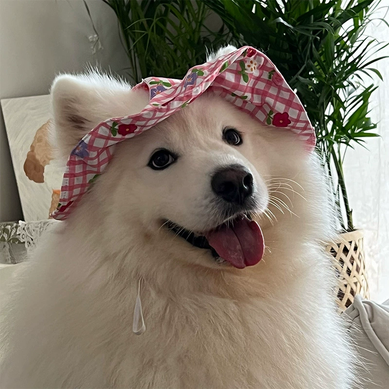 Весенне-летняя тонкая шляпа для собак Лабрадор, шляпа для собак, шляпа от солнца, золотистый ретривер, самоед, бордер-колли, большая собака