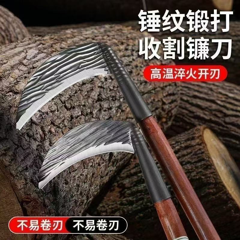 微信图片_20260516110447_170_4.jpg
