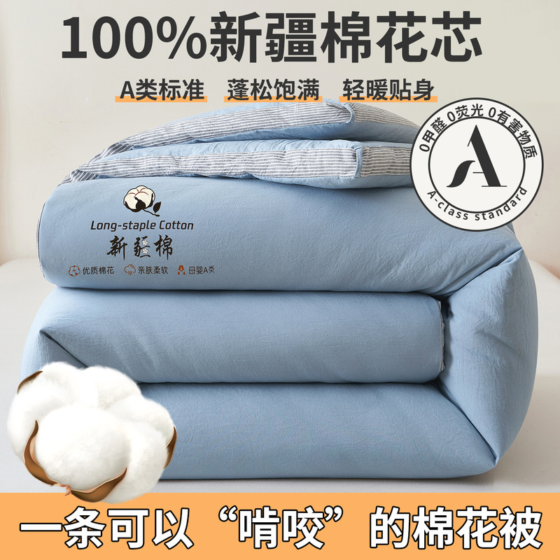 A类母婴级100%新疆棉花被春秋被加厚冬被夏凉被全棉学生宿舍被芯|undefined