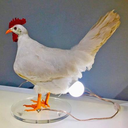 创意独特母鸡蛋灯牧场农场乡村风格USB鸡蛋灯收藏桌面树脂工艺品