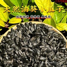 直供鹦鹉鸟粮饲料鸟食油葵小瓜子加纳利子白尖粟红花籽鹦鹉奖励零