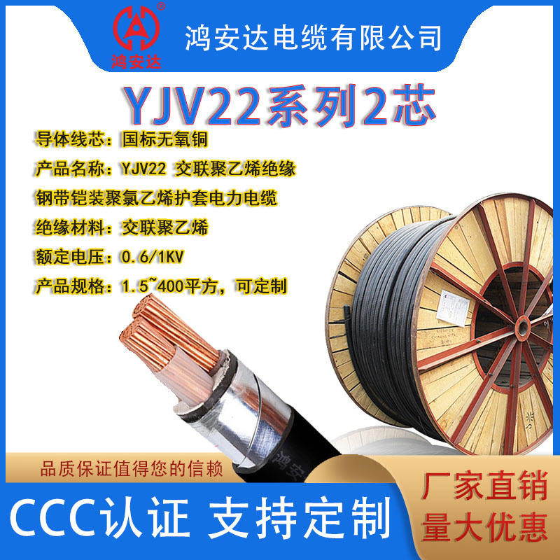 铠装低压电缆YJV22系列  2芯纯铜国标电缆多种规格可选厂家直供