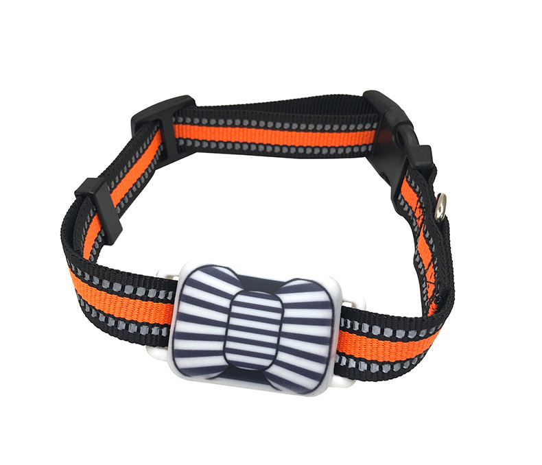 스트라이프 블루 + GPS 포지셔닝 + 방수