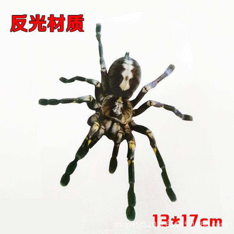 반사 [블랙 스파이더]