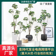源头厂家海虹批发仿真绿植鸭脚木假树仿真植物室内装饰摆件批发