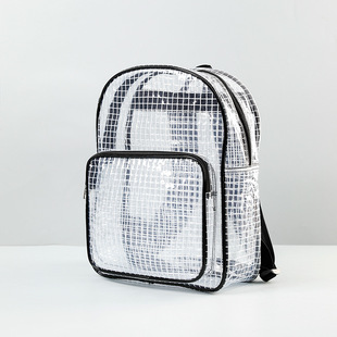 PVC anti-static dust-free bag grid 17 inch black transparent backpack clean room light large capacity men and women