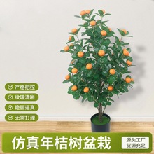 ��Ʒ������ۘ�ɰ���ټ٘�ٻ��͏d�bGɫ����ֲ����������辰